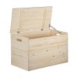 Chest Astigarraga Dinamic Pinewood (80 x 40 x 50 cm) Discount