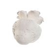 Vase Home ESPRIT White Ceramic Traditional style 26 x 22 x 23 cm For Cheap